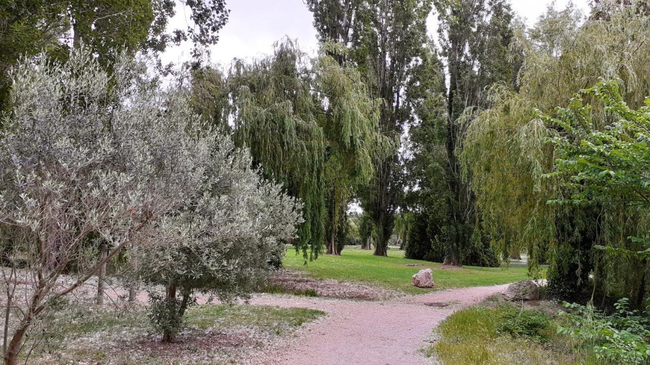 Studio 24 M2 - Hameaux De Camargue - Village 9 - 13200 Arles Eksteriør bilde
